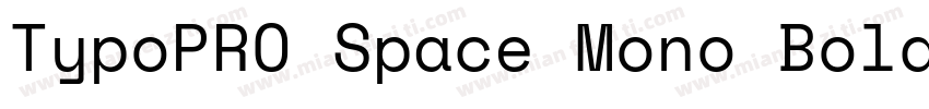 TypoPRO Space Mono Bold字体转换